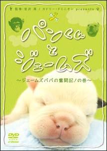 のサムネイル画像