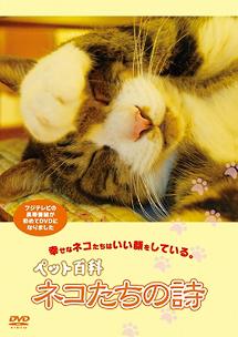 ペット百科 ネコたちの詩 のサムネイル画像