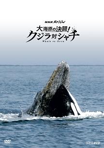 のサムネイル画像