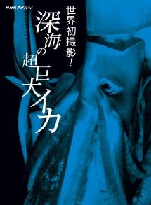のサムネイル画像