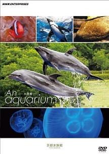 An Aquarium -水族館 - 京都水族館 のサムネイル画像