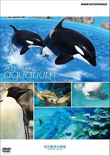 An Aquarium -水族館 - 名古屋港水族館 のサムネイル画像