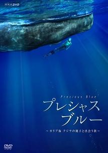 プレシャス・ブルー カリブ海・クジラの親子と出会う旅 のサムネイル画像