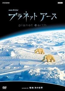 プラネットアース Episode.08 「極地 氷の世界」 のサムネイル画像