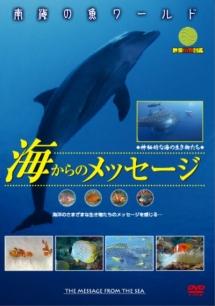映像魚類図鑑 南海の魚ワールド のサムネイル画像