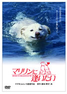 のサムネイル画像