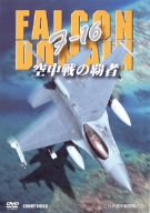 F-16 FALCON DOMAIN 空中戦の覇者 のサムネイル画像