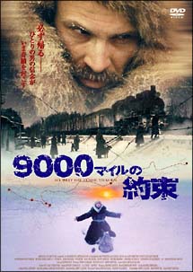 9000マイルの約束 のサムネイル画像