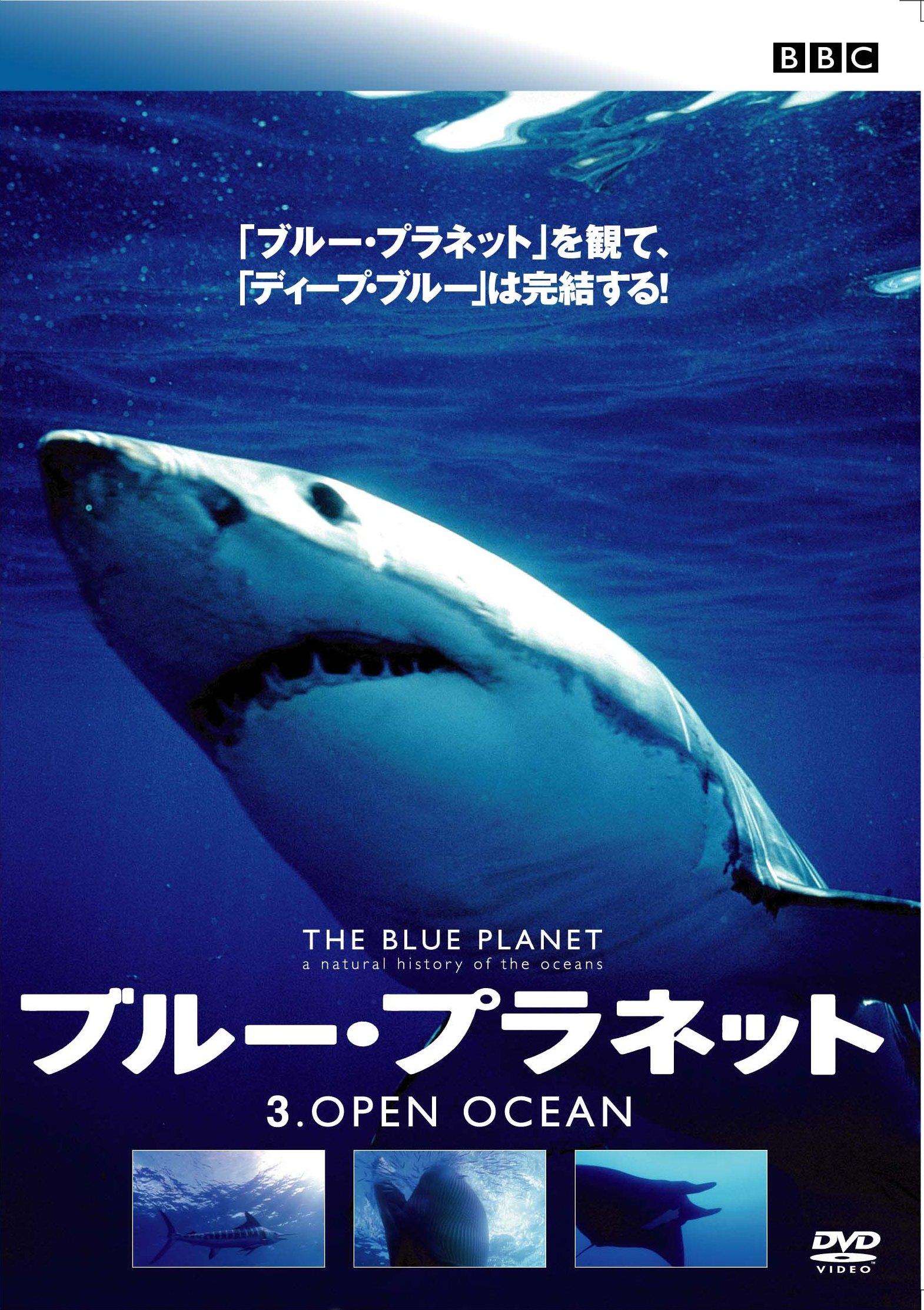 ブルー・プラネット 3 OPEN OCEAN のサムネイル画像