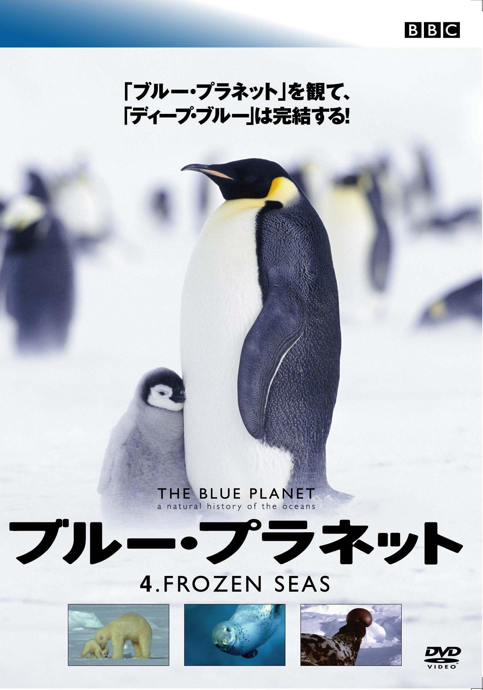 ブルー・プラネット 4 FROZEN SEAS のサムネイル画像