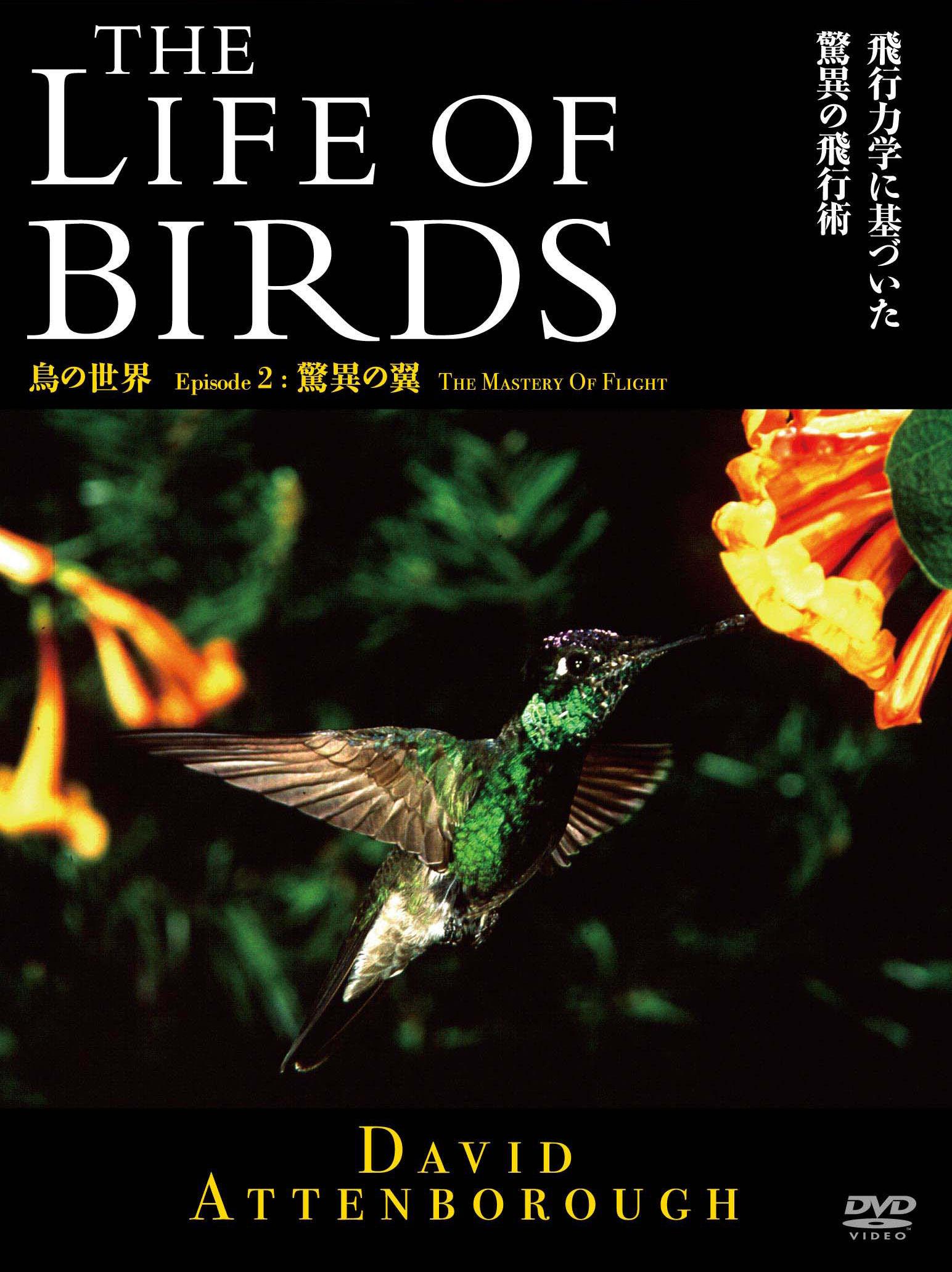 THE LIFE OF BIRDS 鳥の世界 驚異の翼 のサムネイル画像