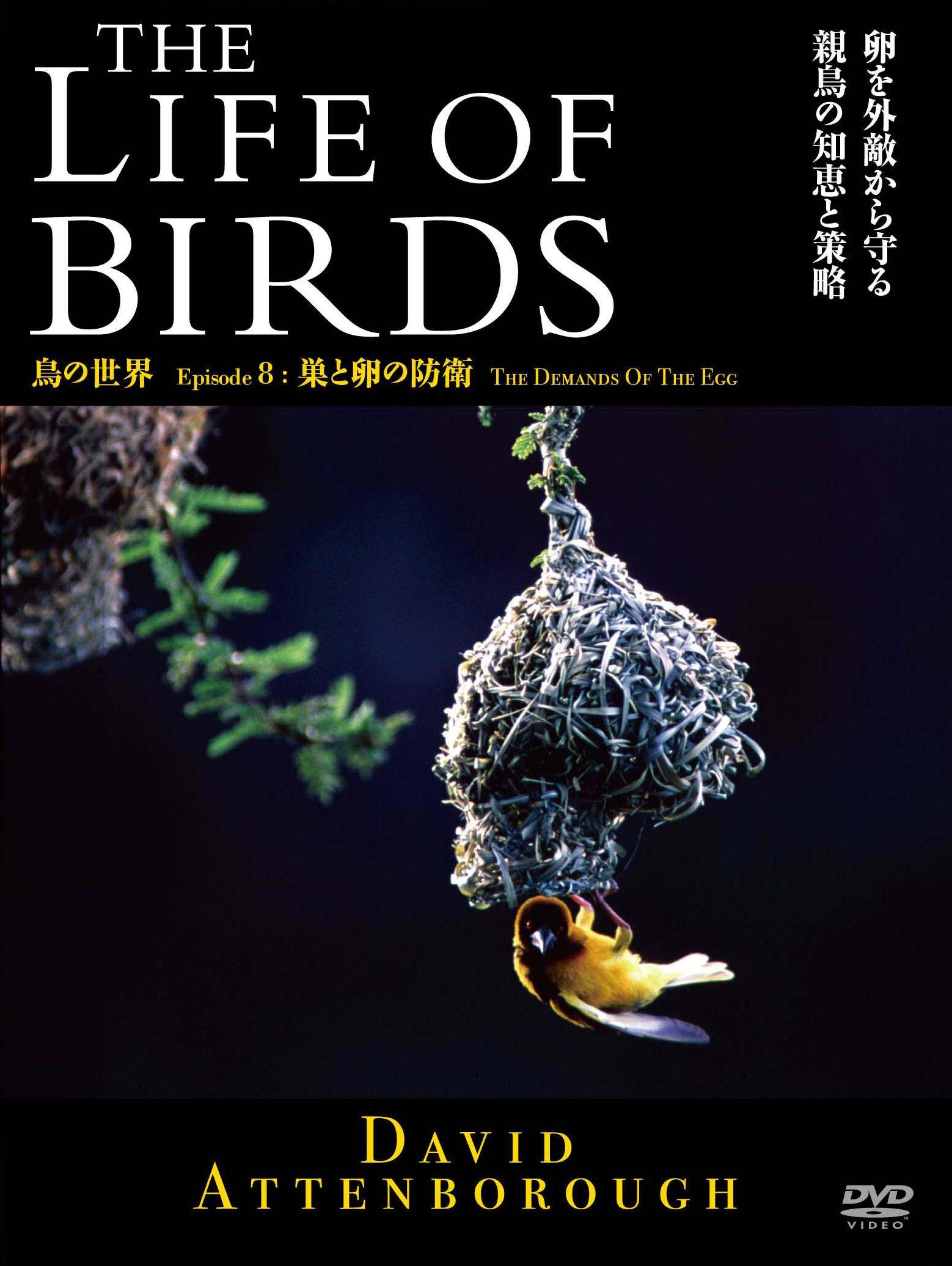 THE LIFE OF BIRDS 鳥の世界 巣と卵の防衛 のサムネイル画像