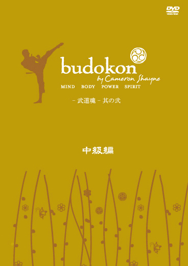 budokon -武道魂 - 中級編 2 のサムネイル画像