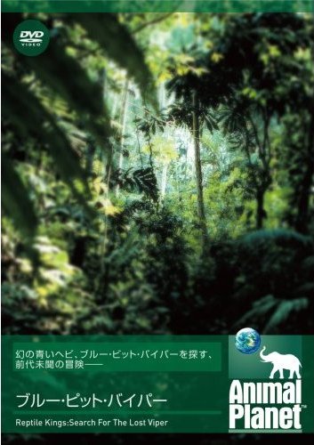 のサムネイル画像
