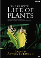 BBC 植物の世界 1 旅をする植物 のサムネイル画像
