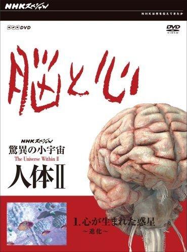 のサムネイル画像