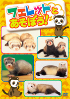 フェレットとあそぼう! のサムネイル画像