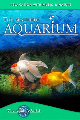 The Beautiful Aquarium: Tranquil World - Relaxation with Music & Nature のサムネイル画像