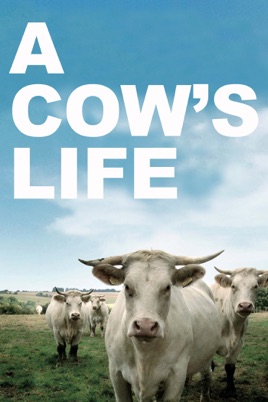A Cow's Life のサムネイル画像