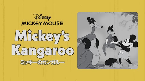 ミッキーのカンガルー のサムネイル画像